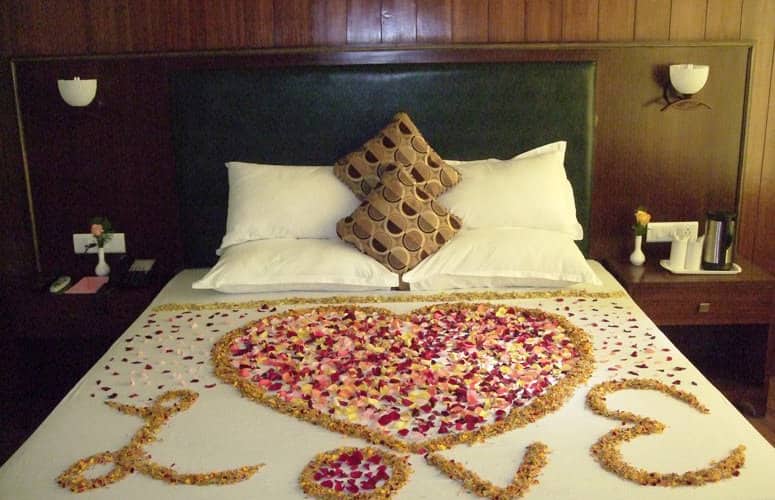 Hotel Hot Spring Tattapani Shimla Hills, Shimla 4